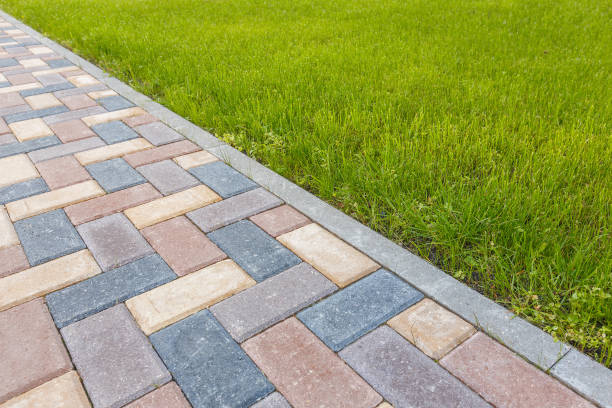 Best Decorative Driveway Paving in Tavernier, FL